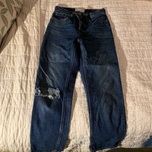 Everlane cheeky jean